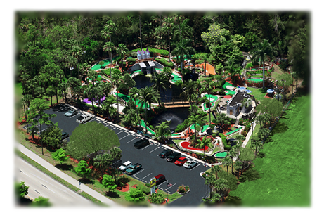 Aerial View of Castle Golf - Fort Myers, FL